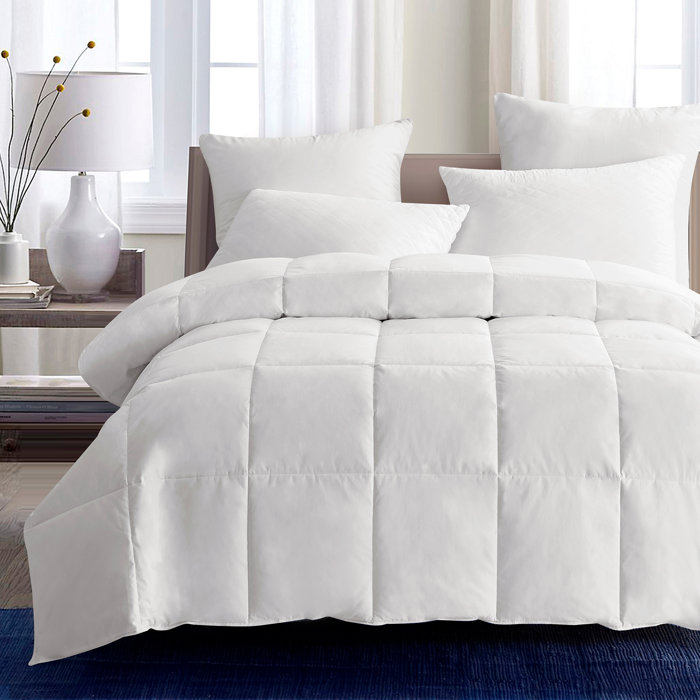 Lightweight Summer Down Comforter & Reviews Joss & Main